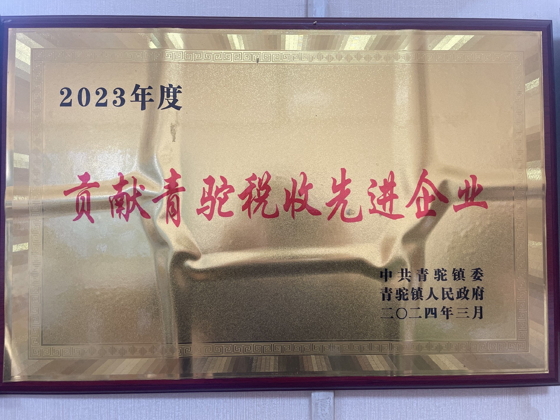 2023年度貢獻青駝稅收先進企業(yè)